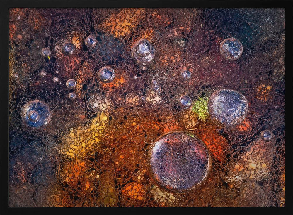 Winter Over Autumn | Poster