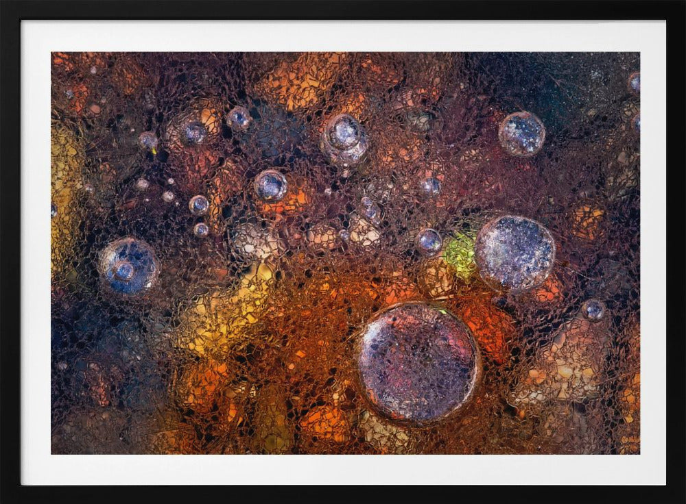 Winter Over Autumn | Poster