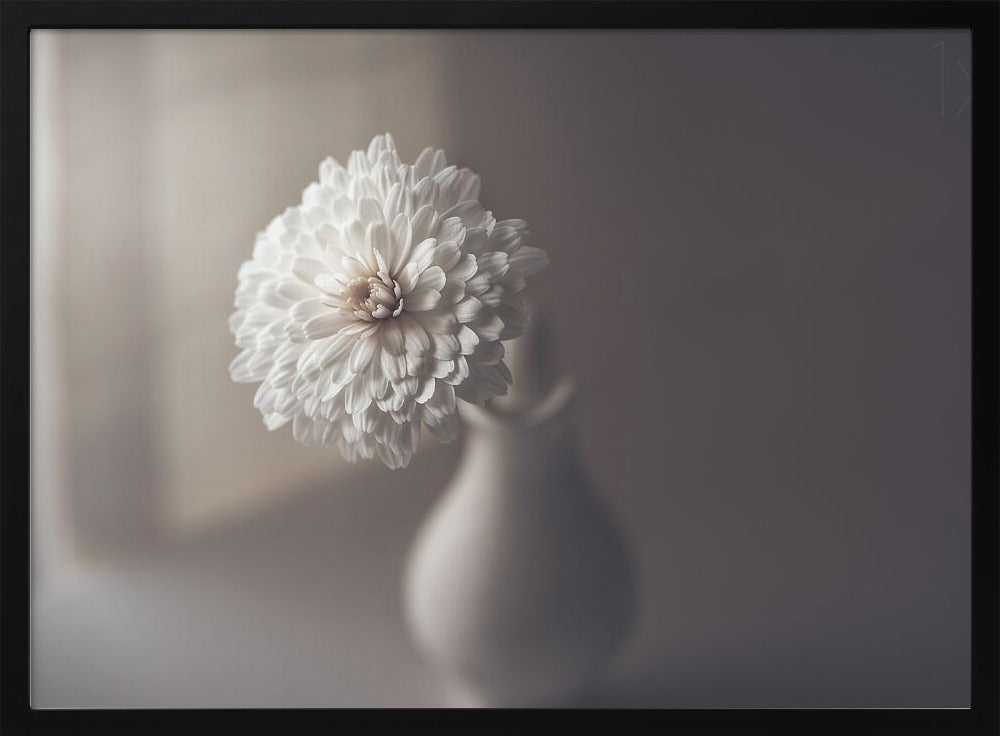 window light | Poster