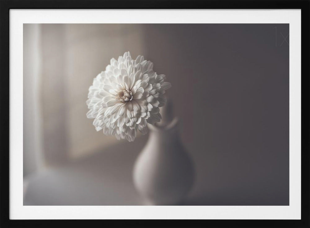 window light | Poster