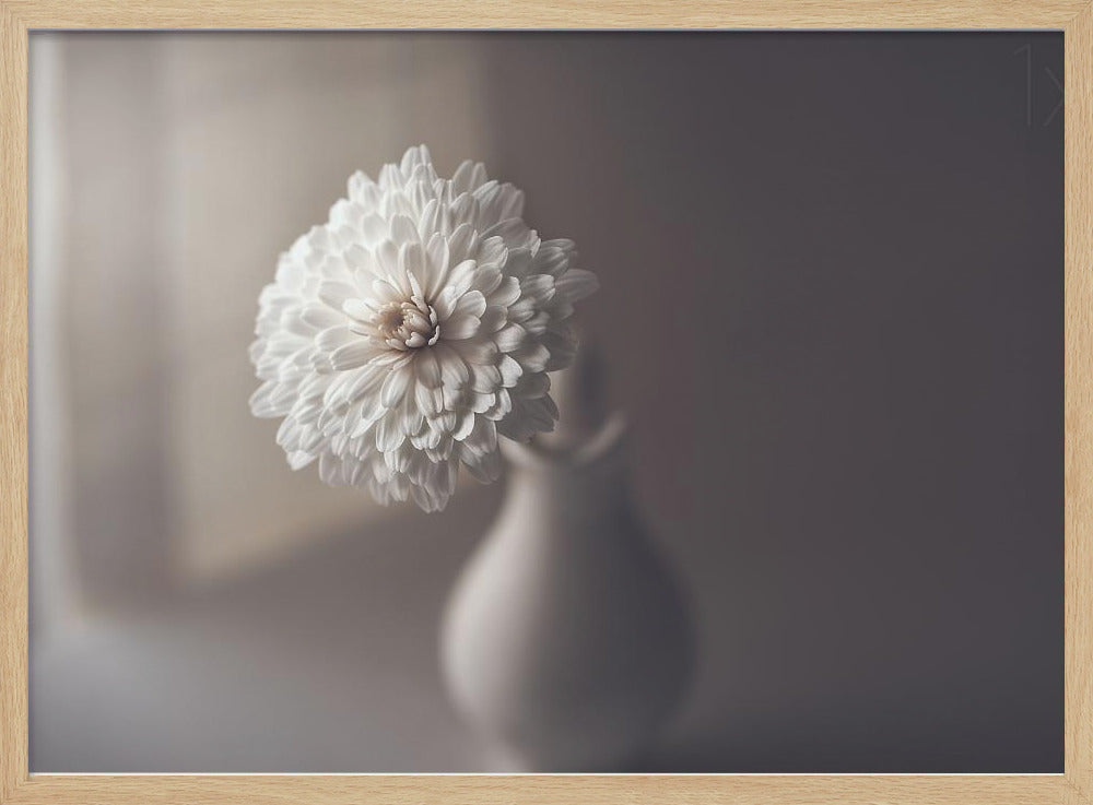 window light | Poster