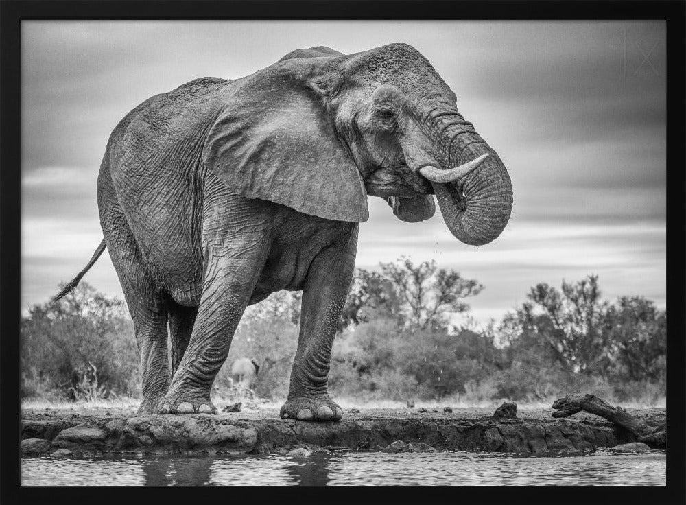 Standing Proud | Poster