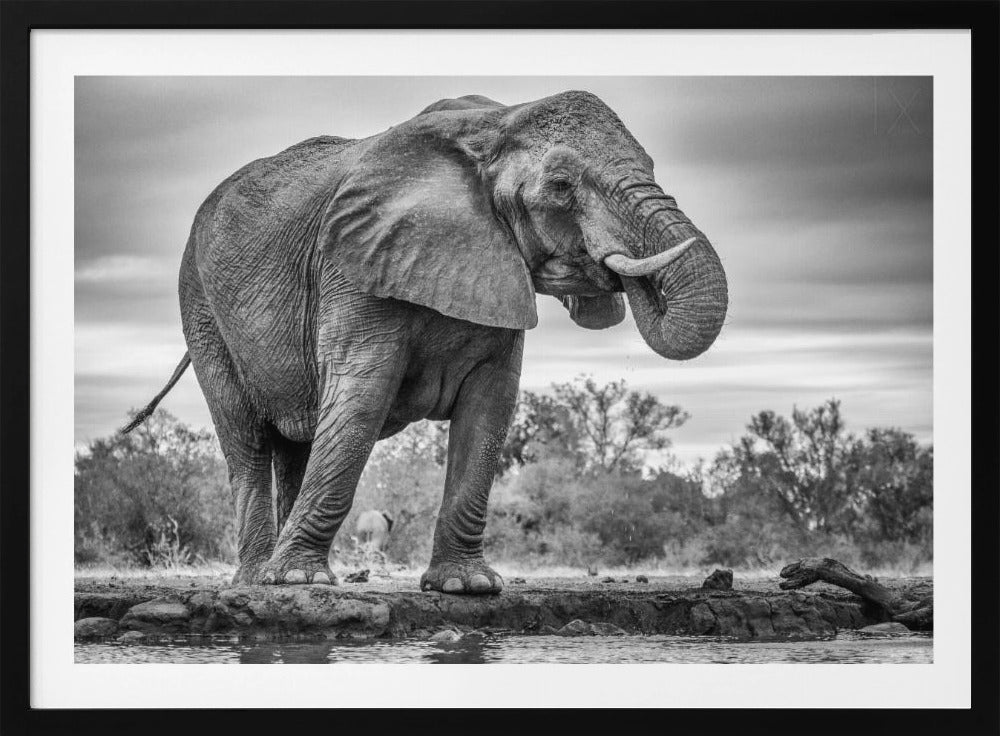 Standing Proud | Poster