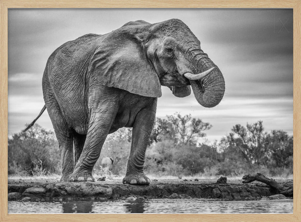 Standing Proud | Poster