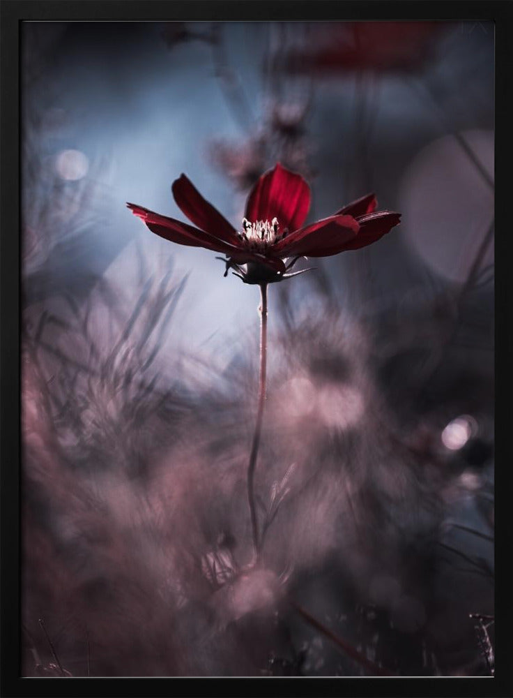 Tenue de soirée | Poster