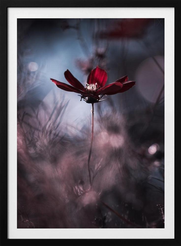 Tenue de soirée | Poster