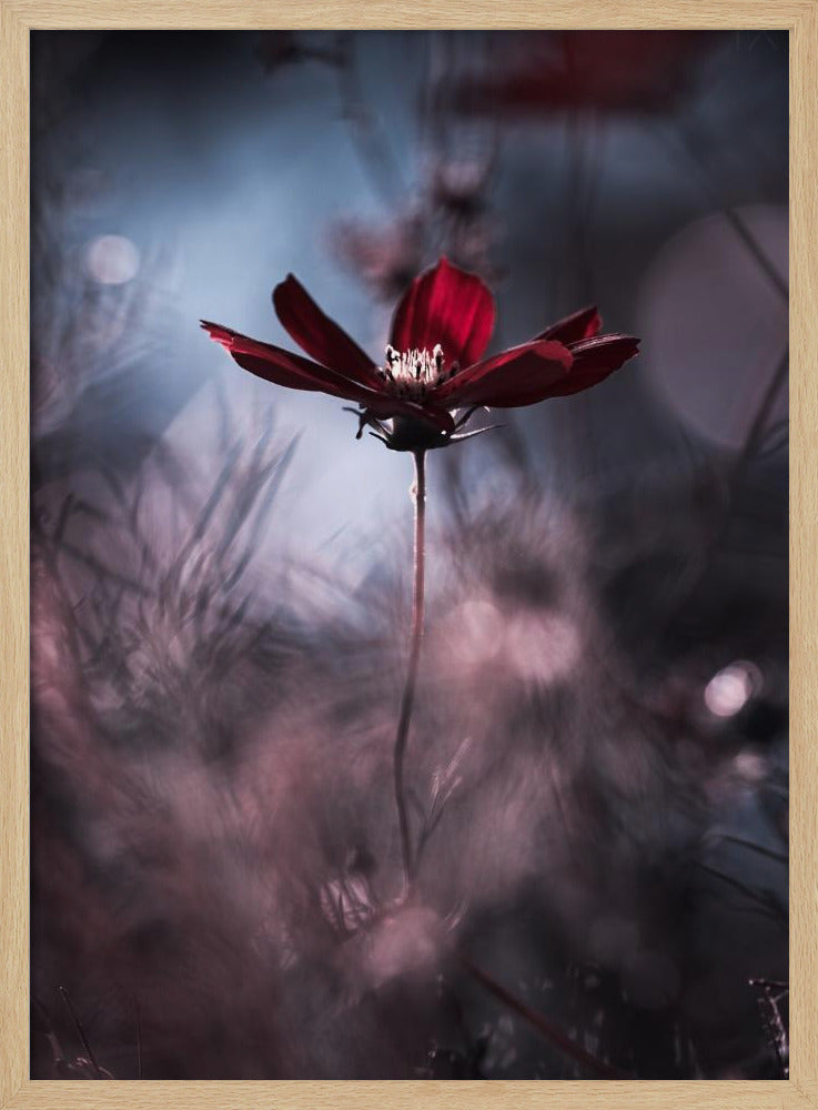 Tenue de soirée | Poster