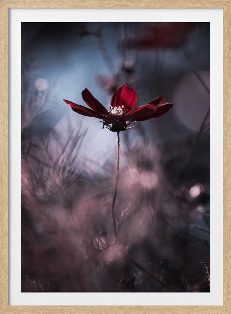 Tenue de soirée | Poster