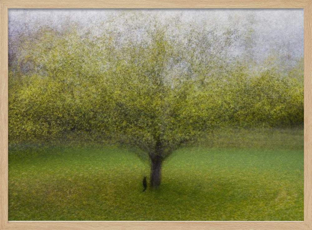 The Cat by the Tree | Poster