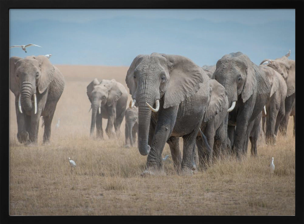 Remember the Titans | Poster