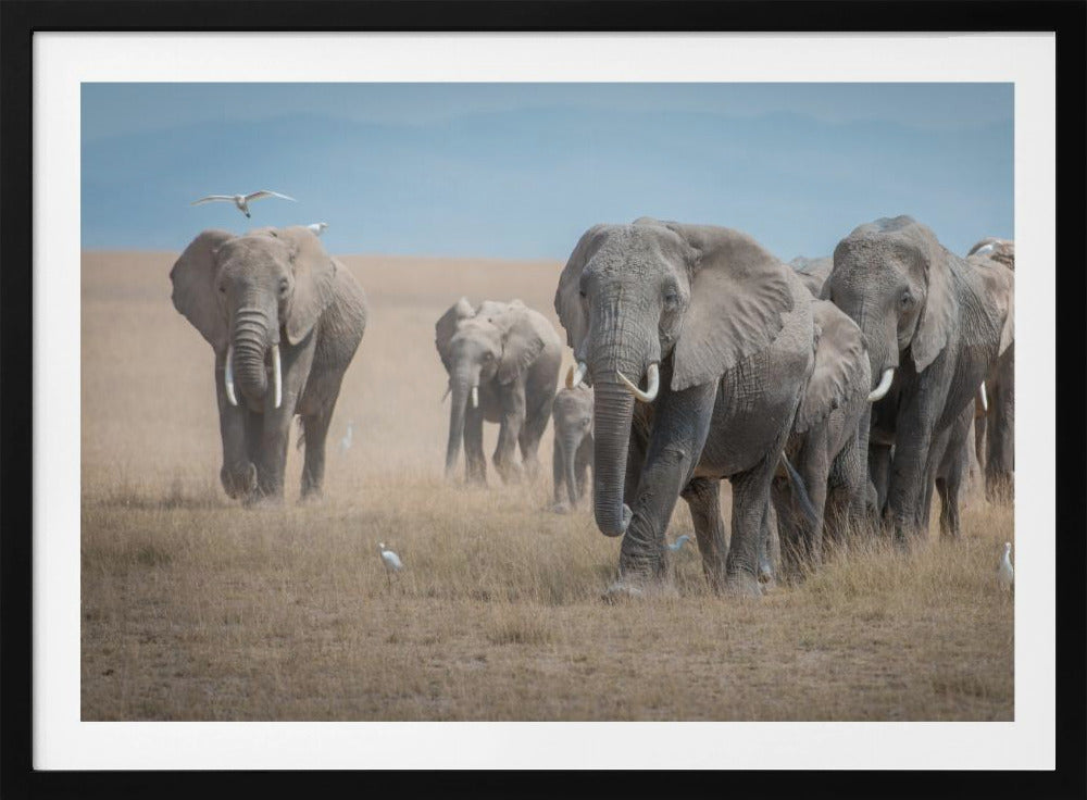 Remember the Titans | Poster