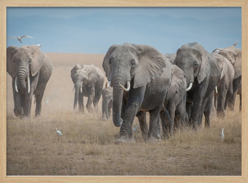 Remember the Titans | Poster