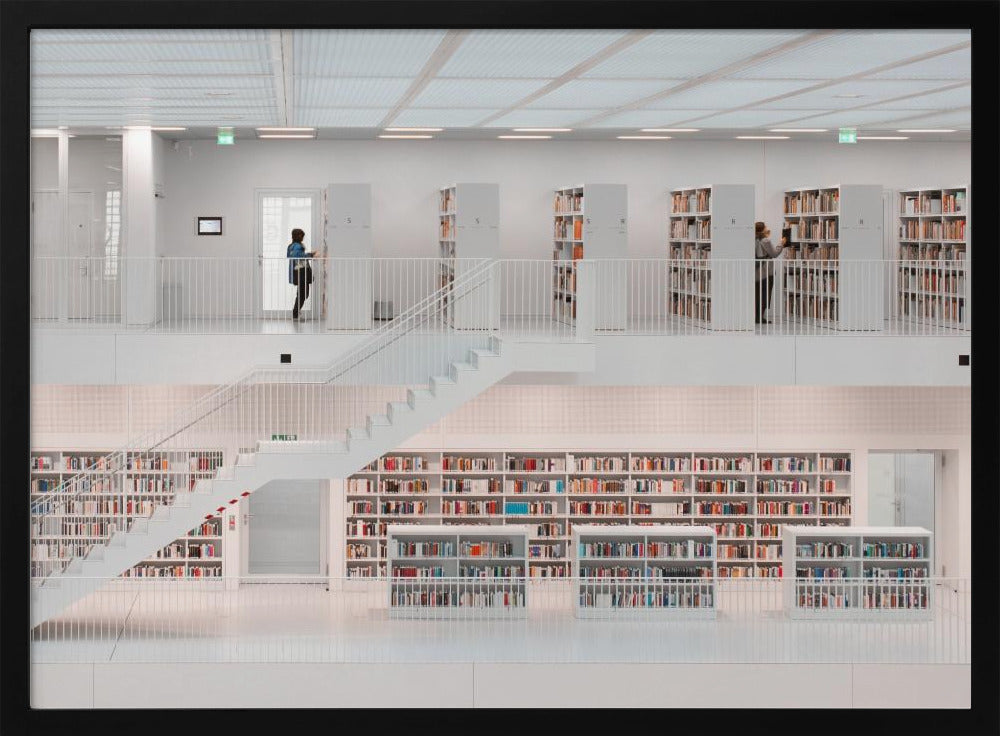 in the library, 2014 | Poster