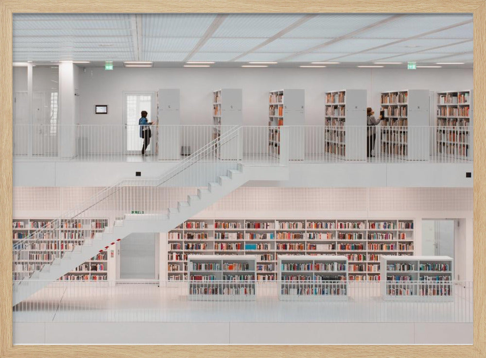 in the library, 2014 | Poster