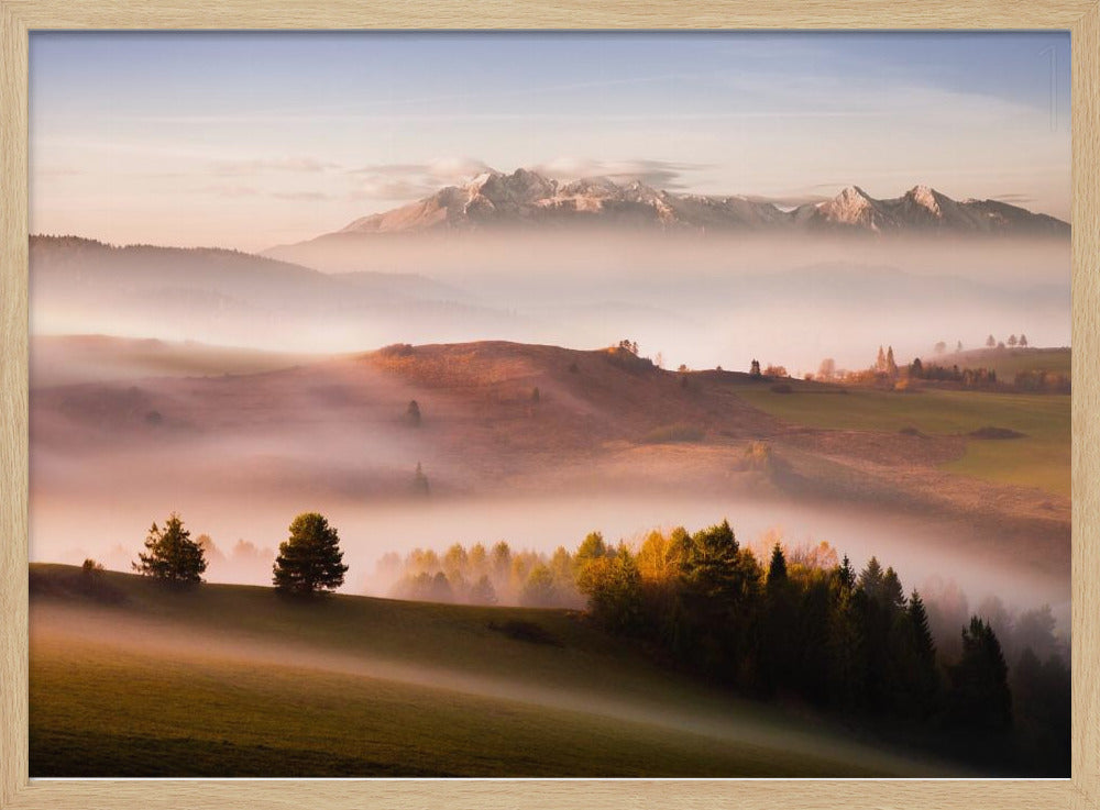 Just a silence | Poster