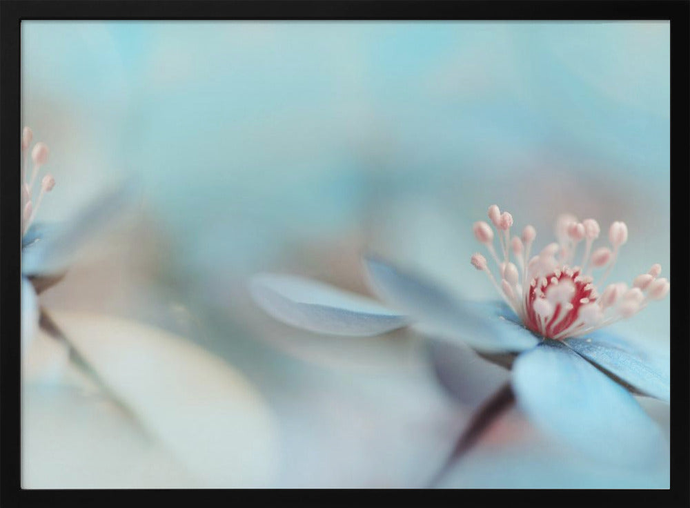 The two of us | Poster