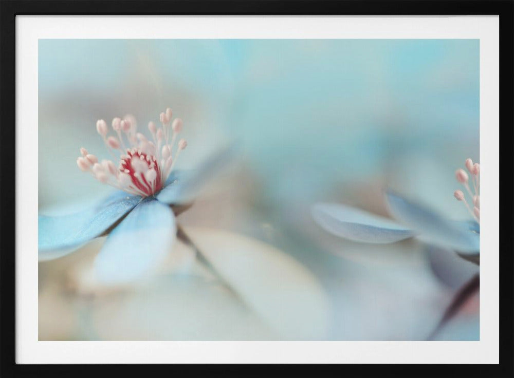 The two of us | Poster