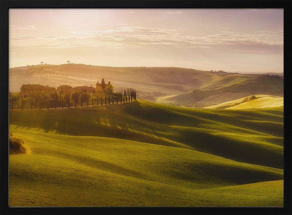 Waves of Light | Poster