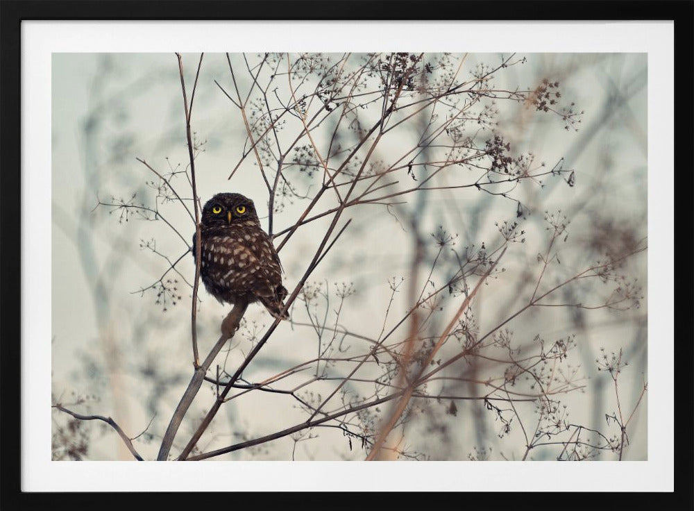 Look at Me! | Poster