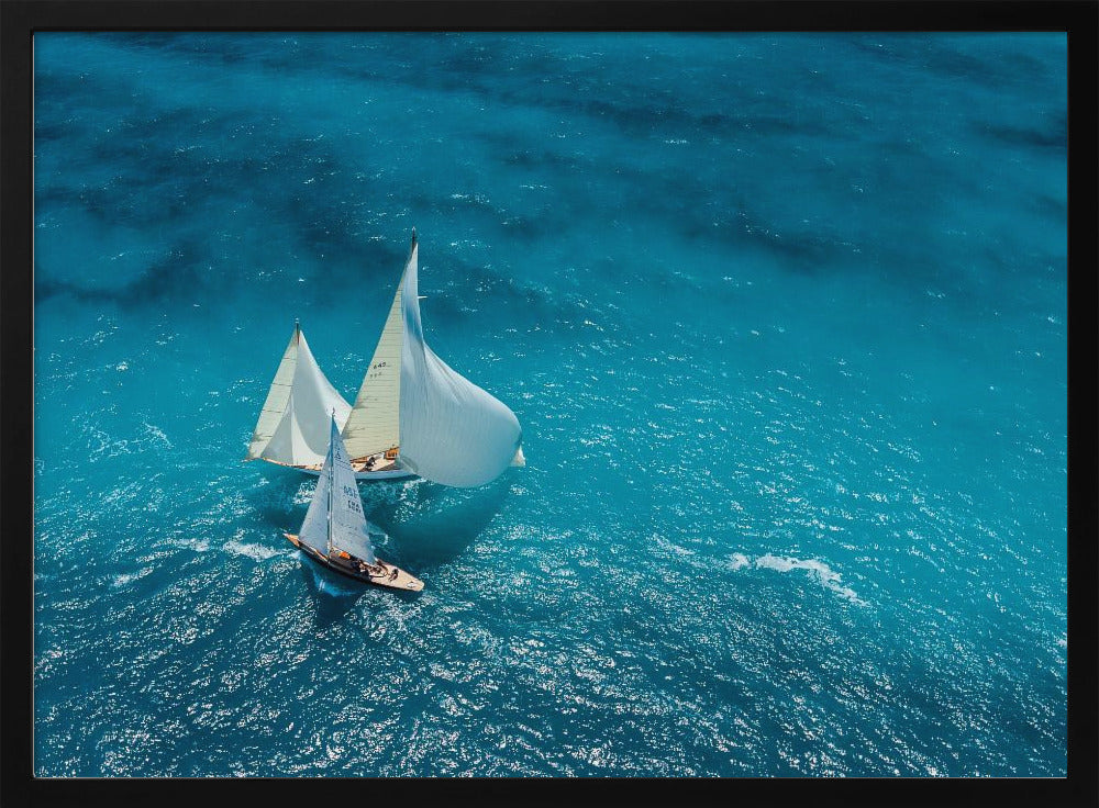 Croisement bleu | Poster