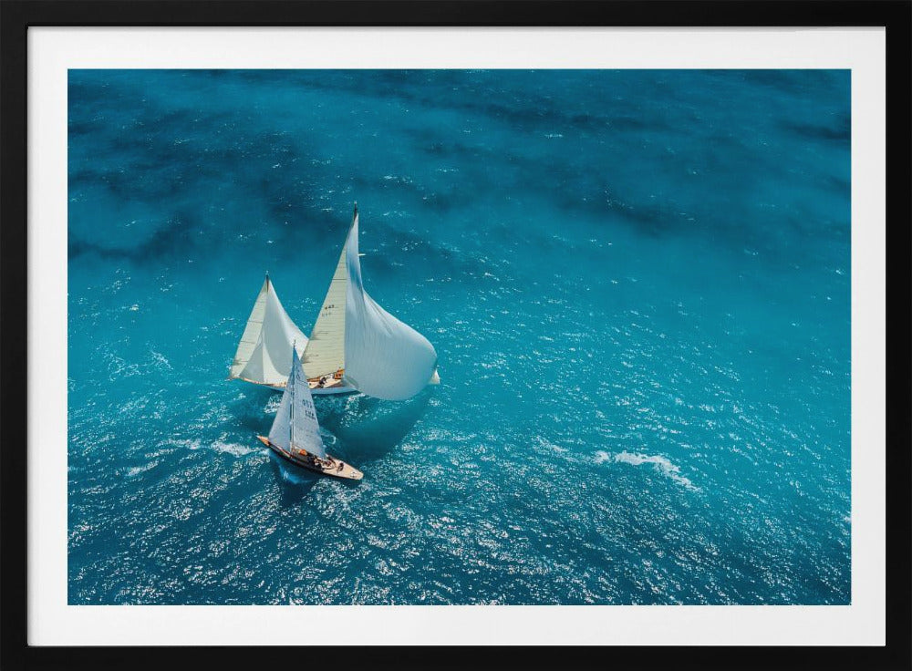 Croisement bleu | Poster