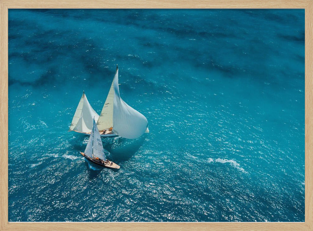 Croisement bleu | Poster