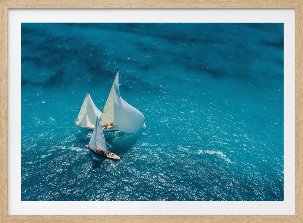 Croisement bleu | Poster