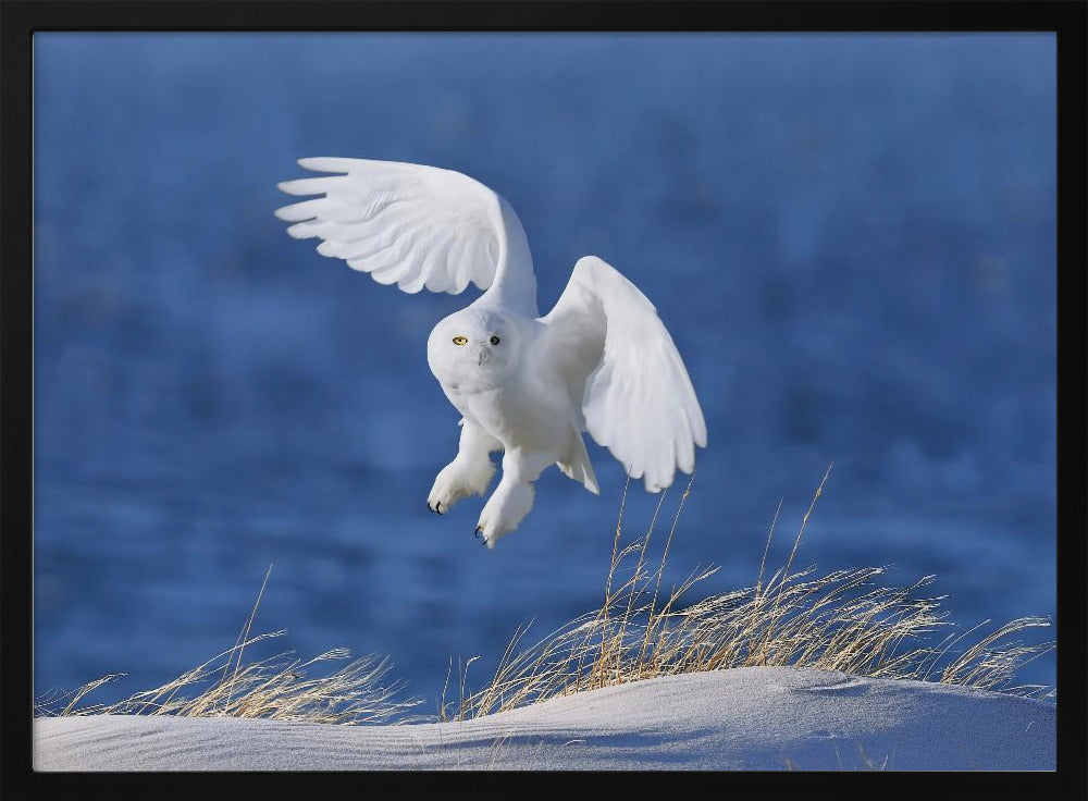 White Spirit demon | Poster