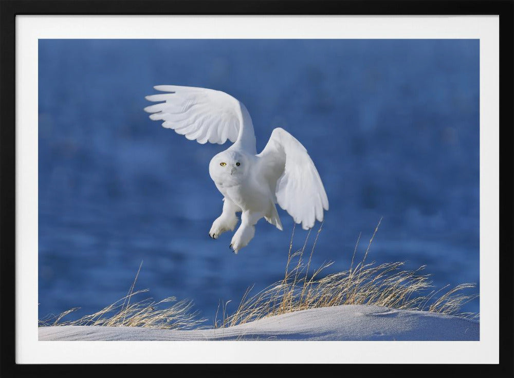 White Spirit demon | Poster