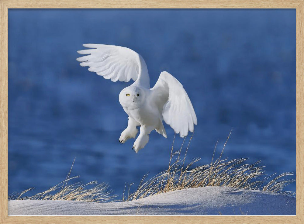 White Spirit demon | Poster