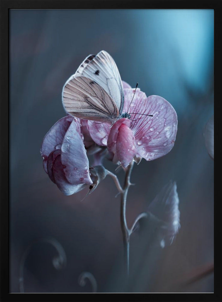 Tainted Love | Poster