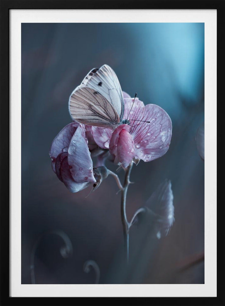 Tainted Love | Poster