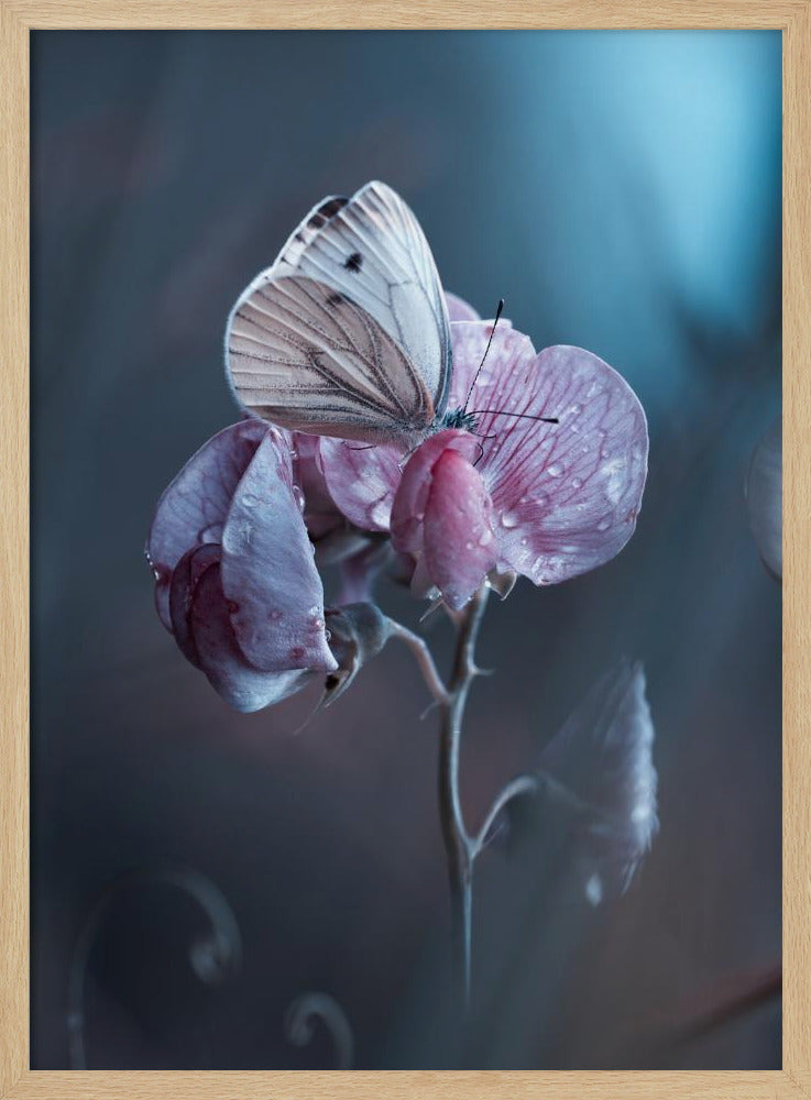 Tainted Love | Poster