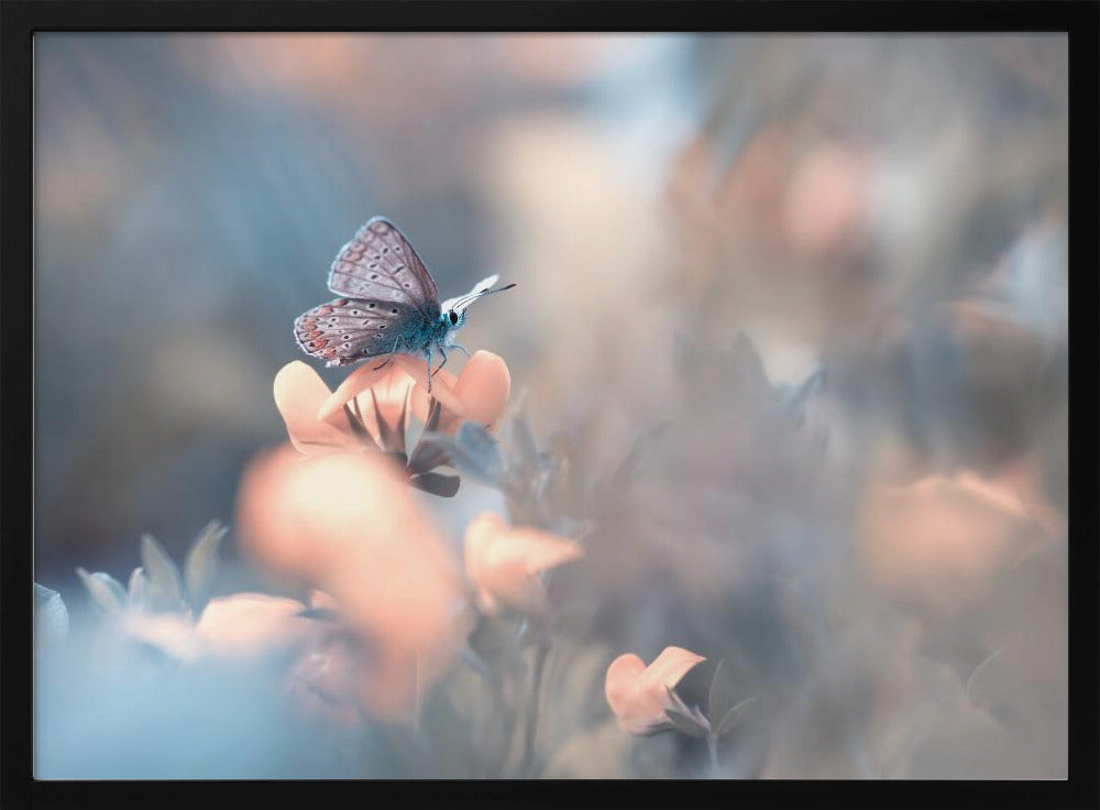 Parmi les dakinis | Poster