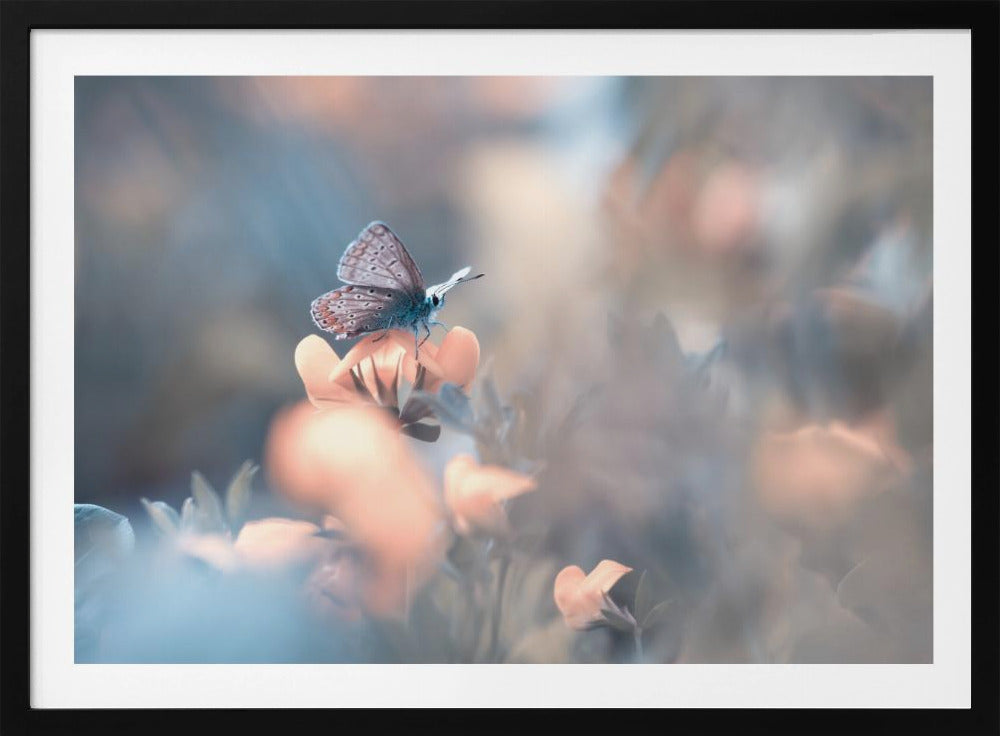 Parmi les dakinis | Poster