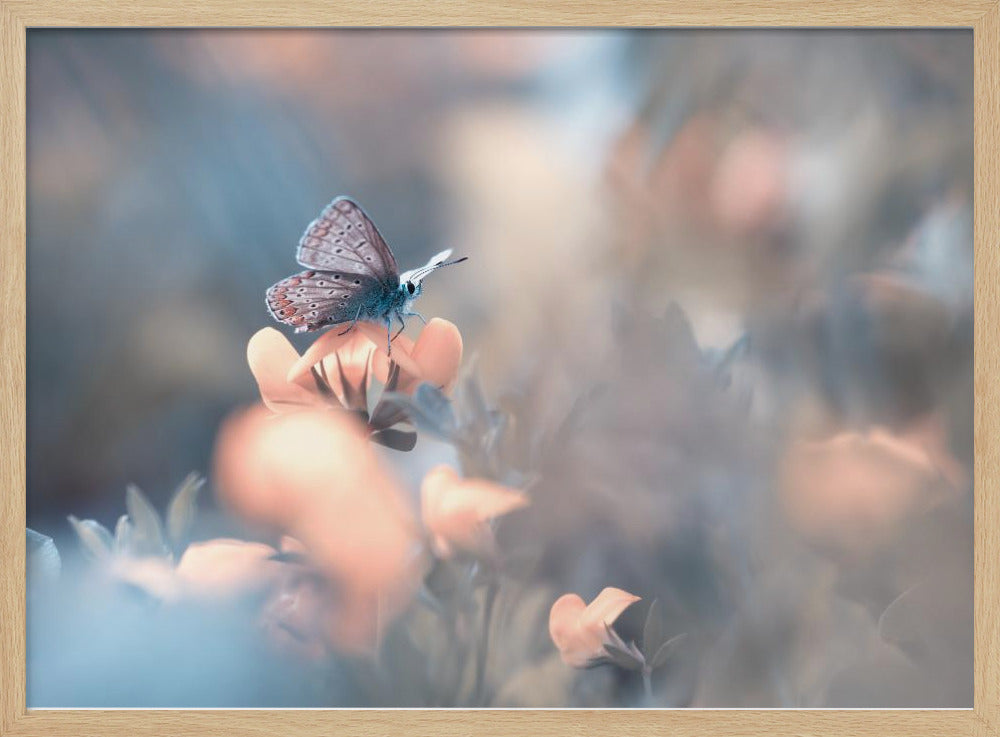 Parmi les dakinis | Poster