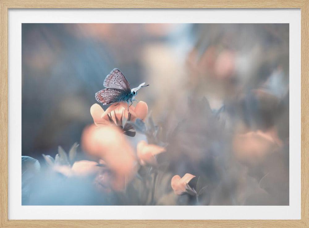 Parmi les dakinis | Poster