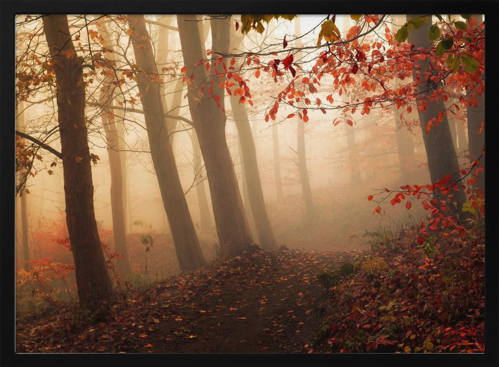 Towards the light. | Poster