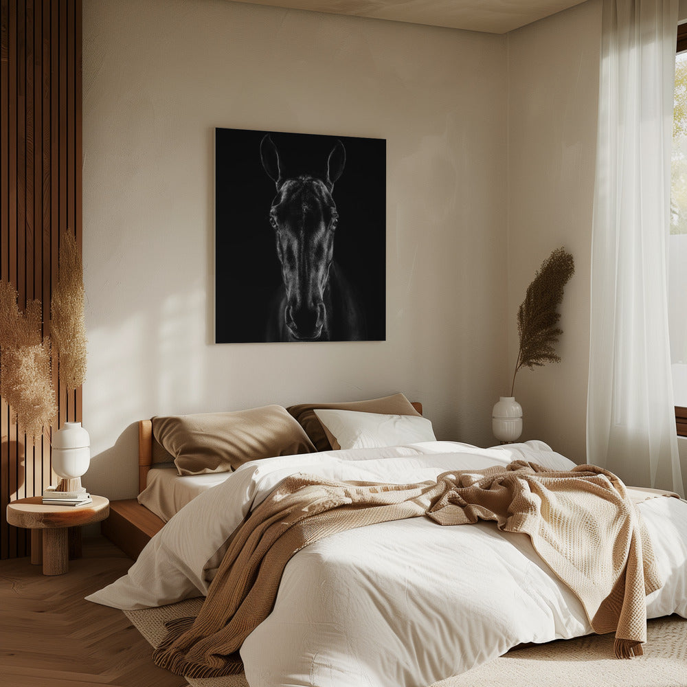 The Horse in Noir 15 | Canvas
