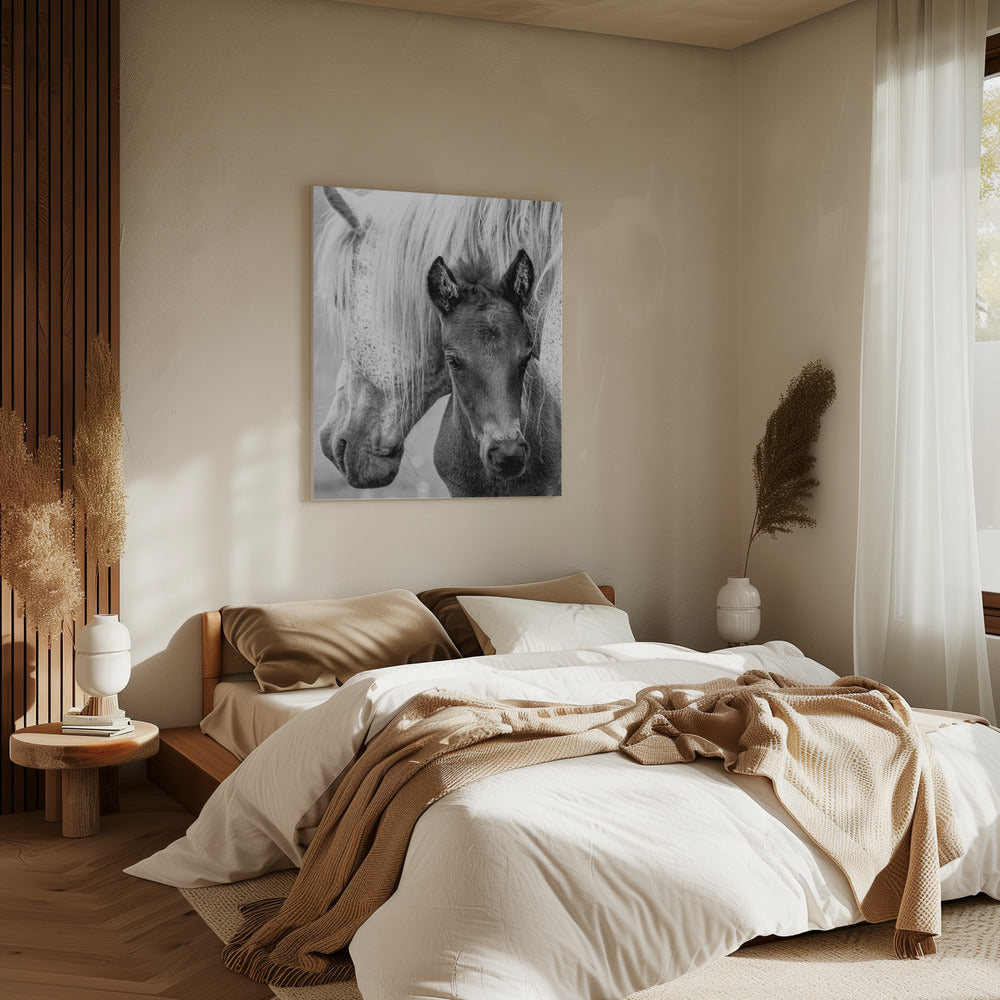 The Foal | Canvas
