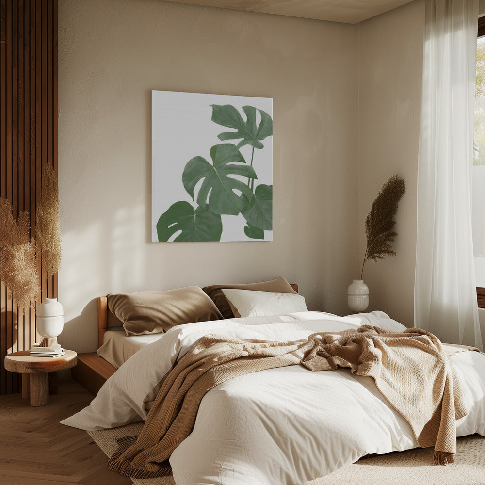 Monstera Aqua 03 | Canvas