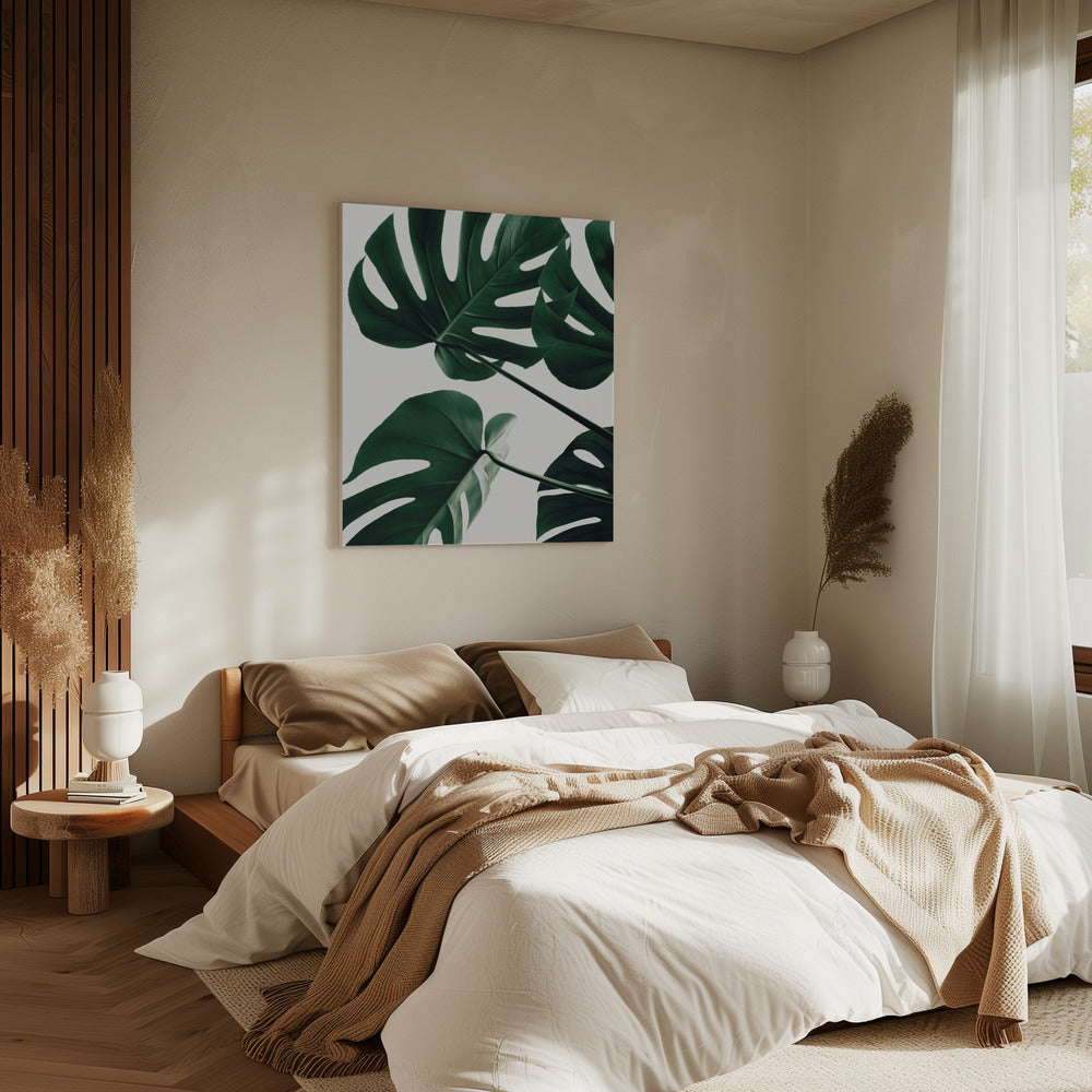 Monstera Natural 43 | Canvas