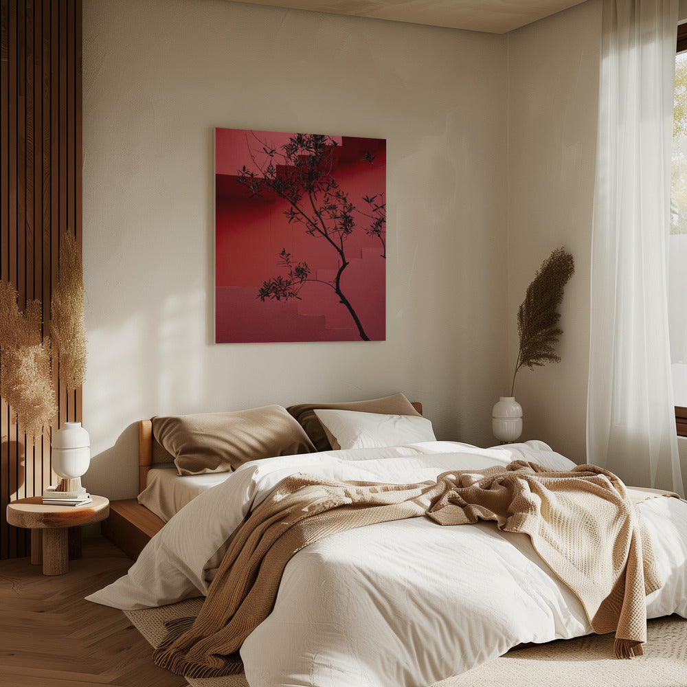 Muralla Roja #14 | Canvas