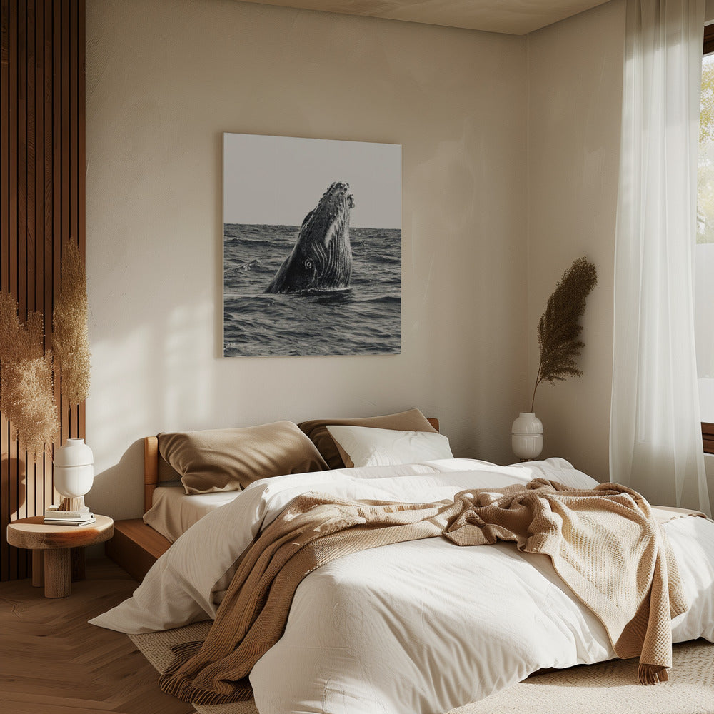 Secret of Whale | Canvas