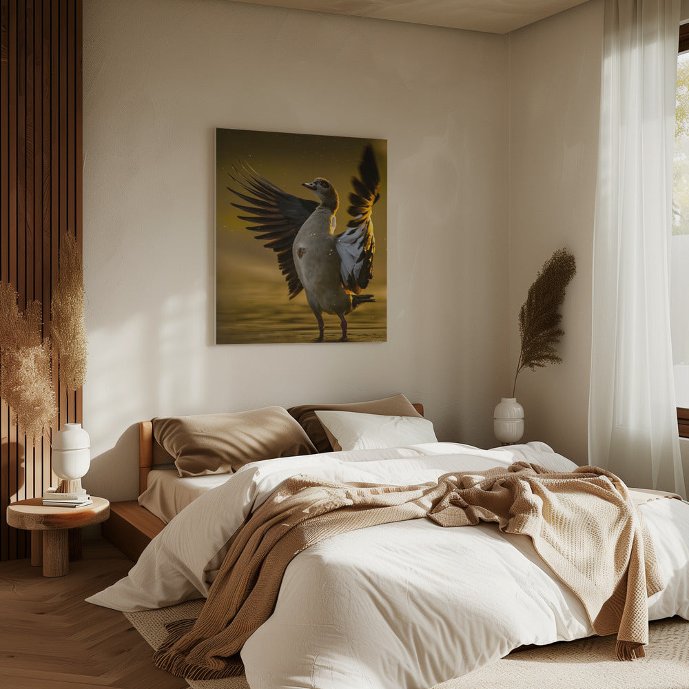 Open  Heart | Canvas
