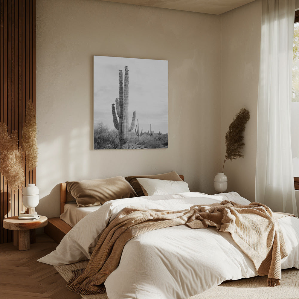 Saguaro B&amp;W | Canvas