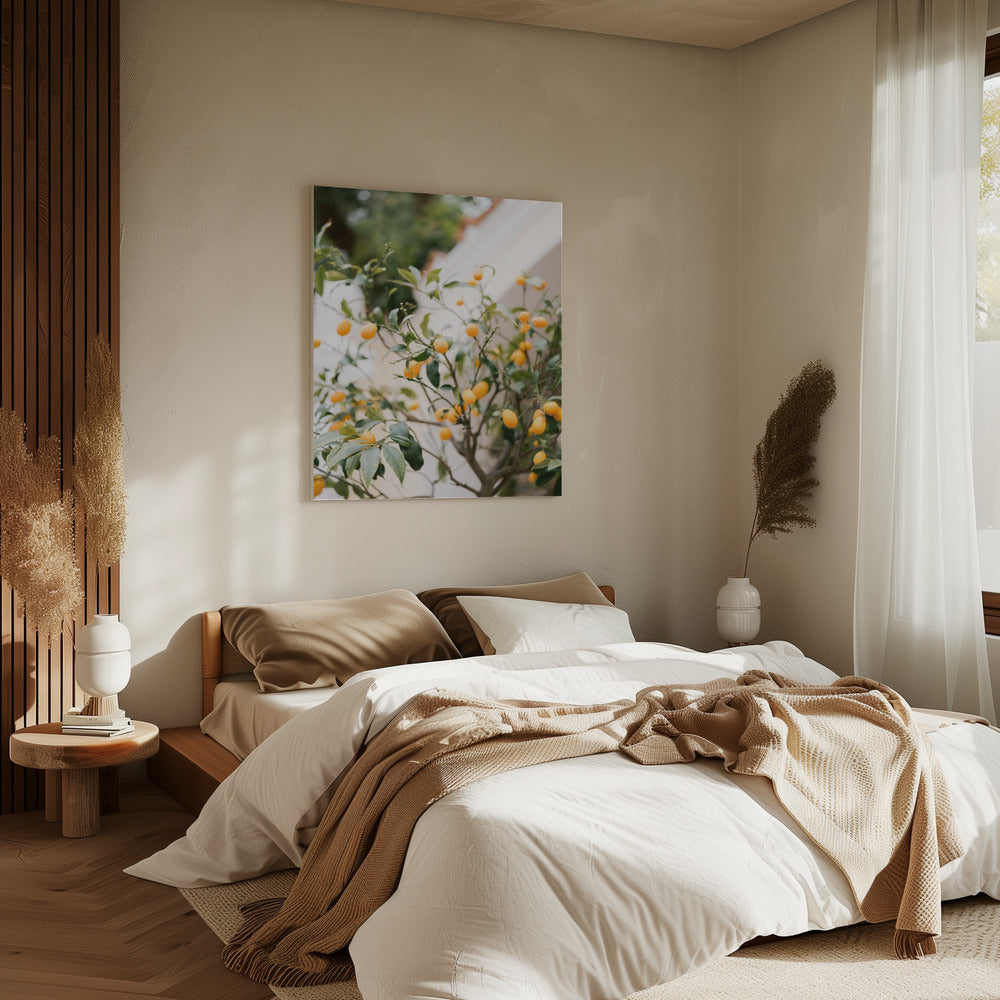 Orange Capri | Canvas