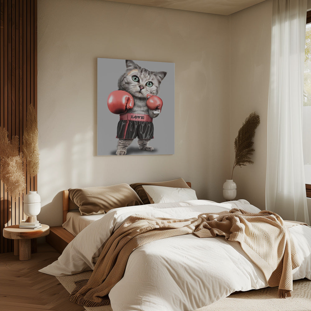 boxing cat | Canvas