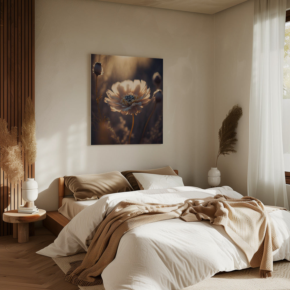 Sunlit Blossom | Canvas