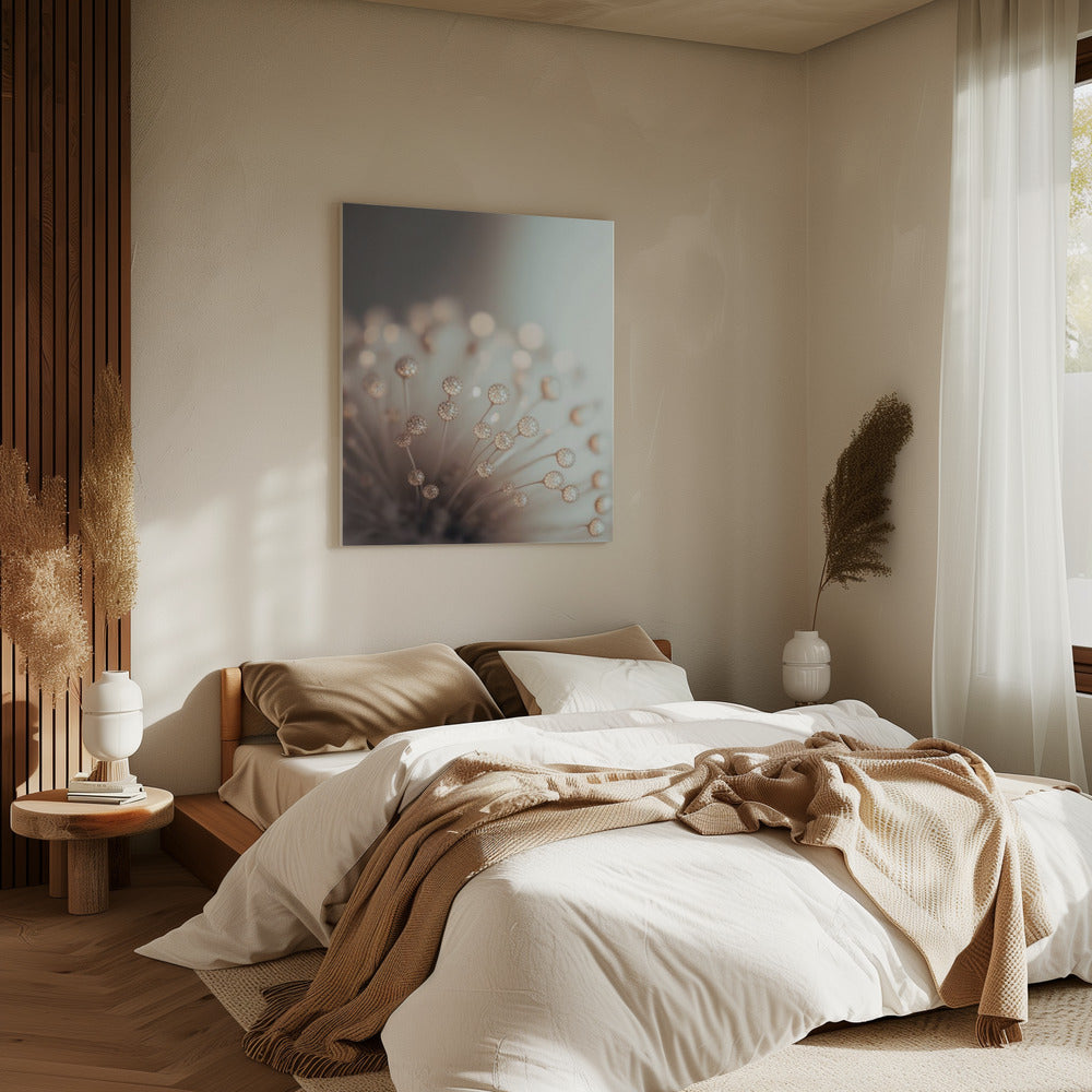 Dreamy Dandelion | Canvas